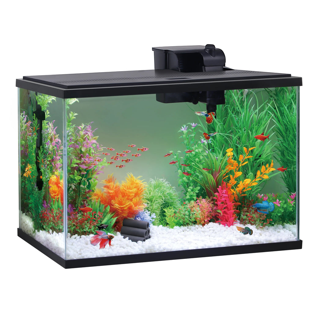 Black 29 Gallon Glass Aquarium Starter Kit Q923