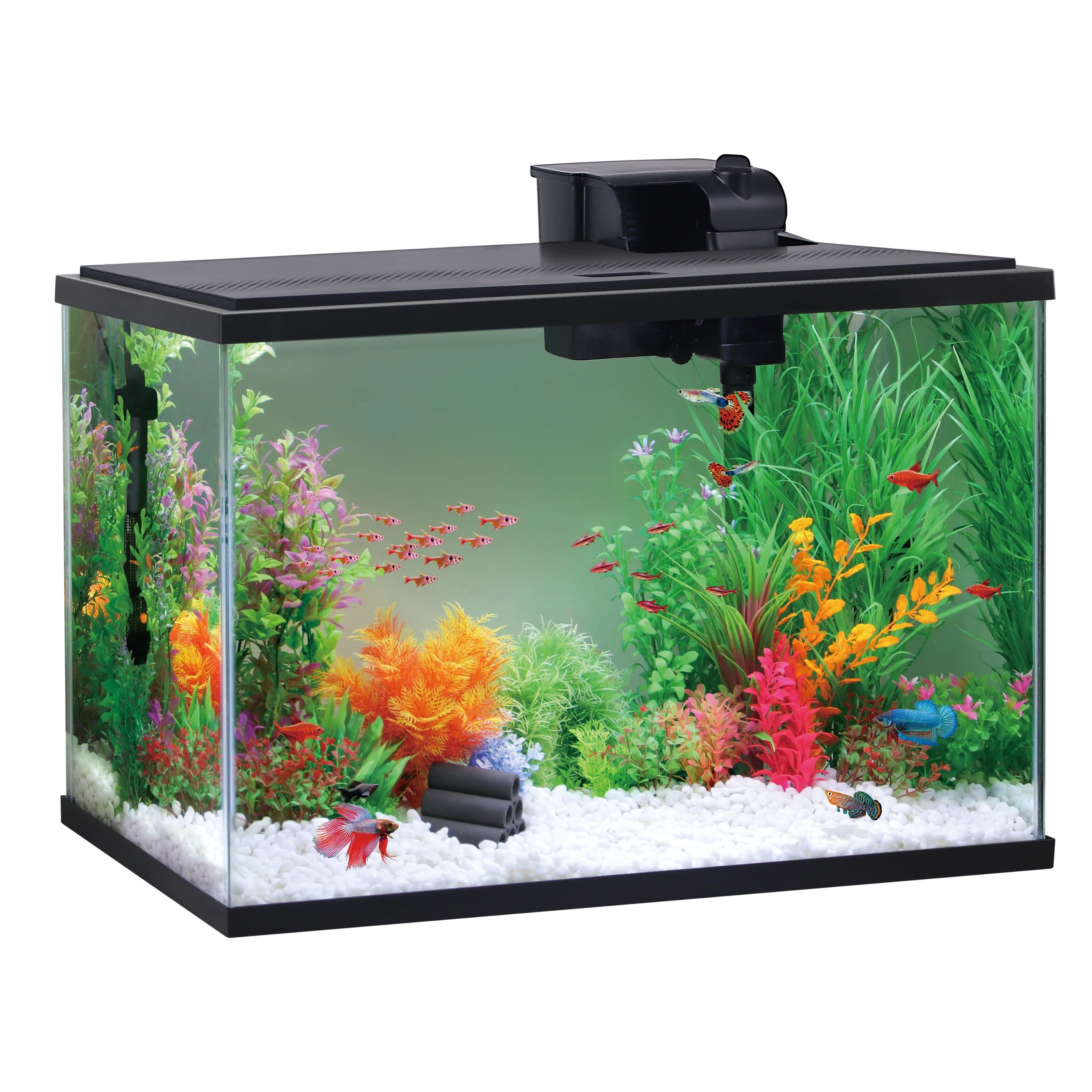 Black 29 Gallon Glass Aquarium Starter Kit Q923