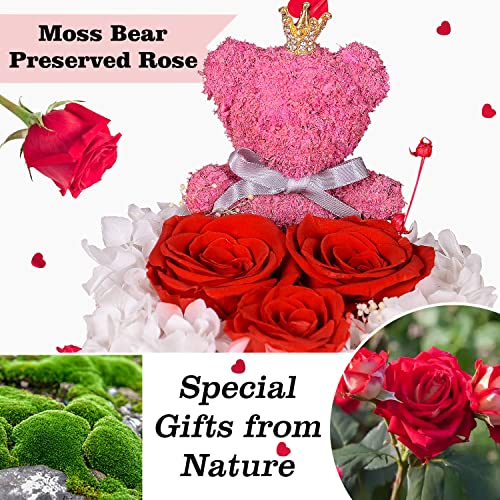 Preserved Rose Moss Bear with I Love You Necklace Roses U354454