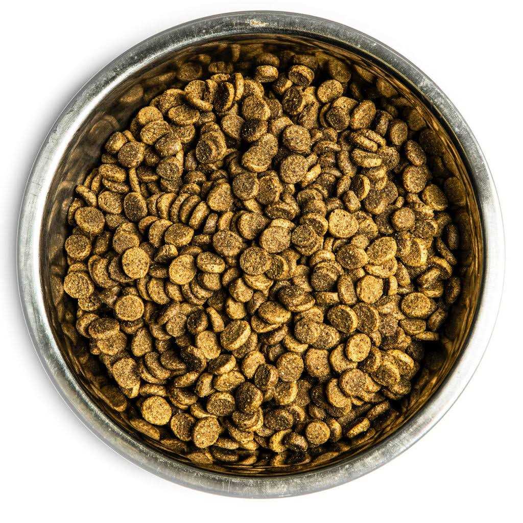 Dry Dog Food K69603