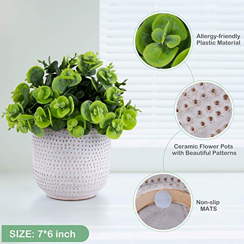 2 Pack Artificial Succulents in Ceramic Planters Fake Greenery Potted X58438