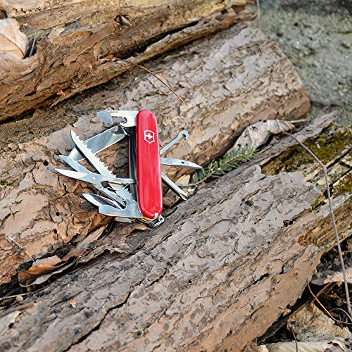 Fieldmaster Pocket Knife E91747