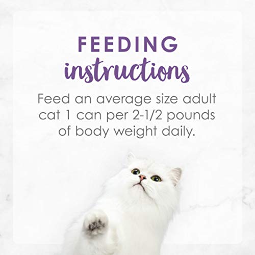 Wet Cat Food, Pack of 24, 3 oz. Cans S242401