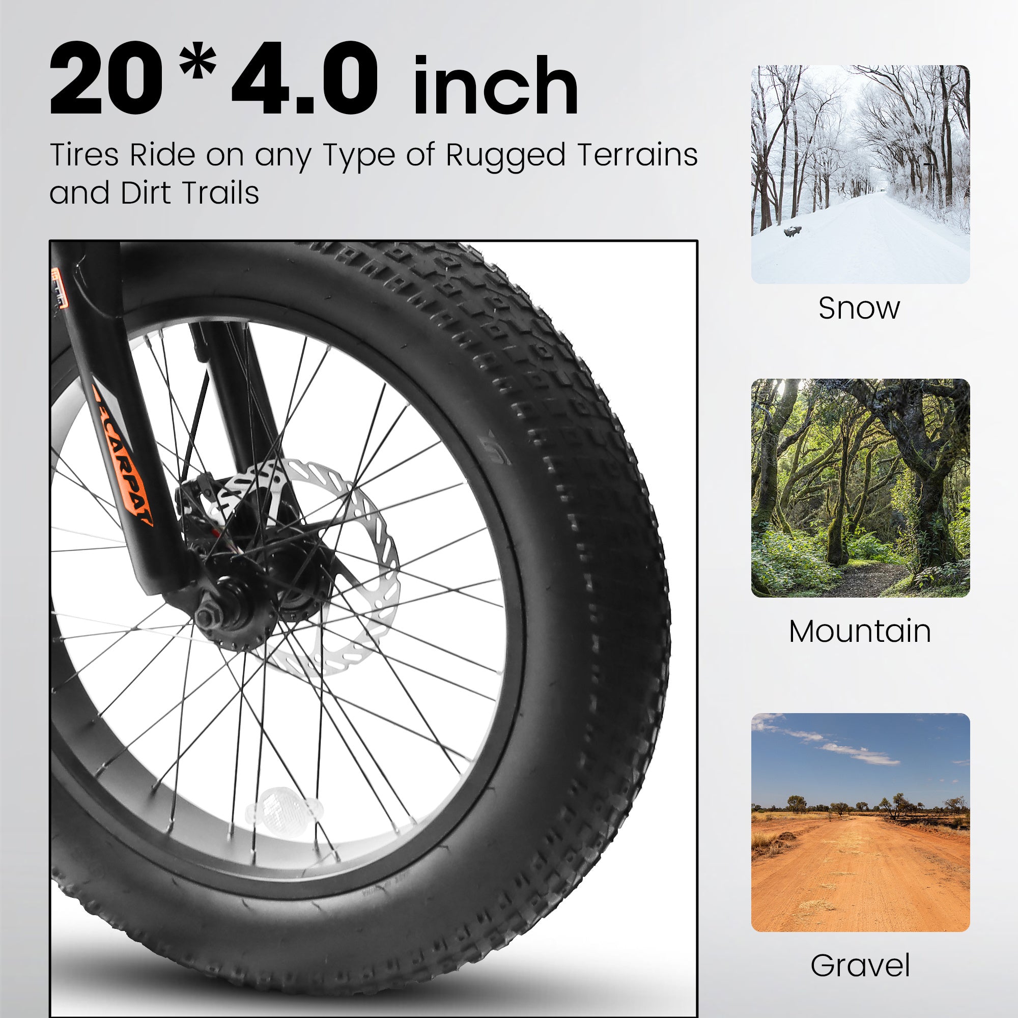 All-Terrain Fat Tire Bike with Shimano 7-Speed I59403