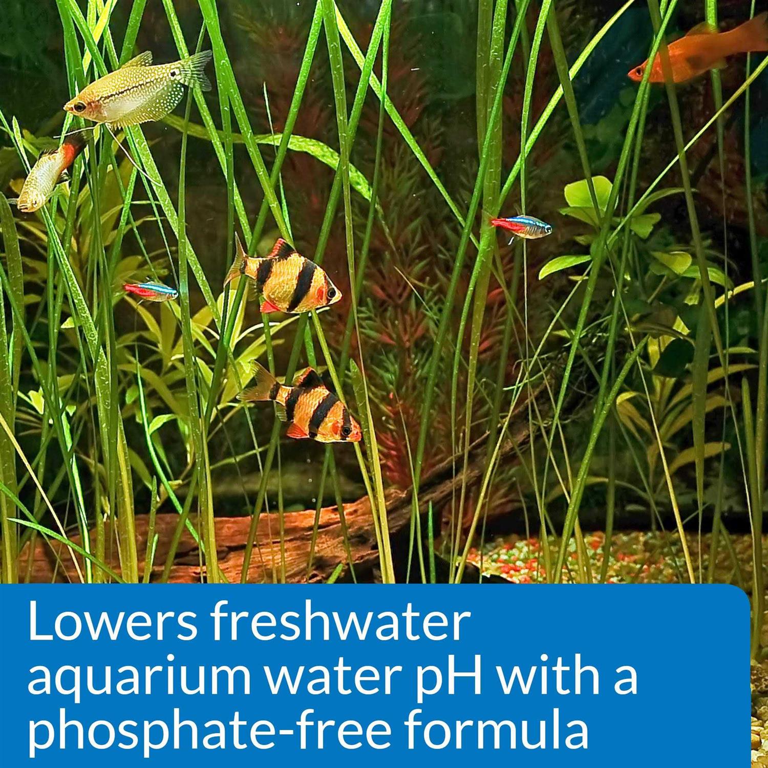 API pH Down Aquarium pH B827