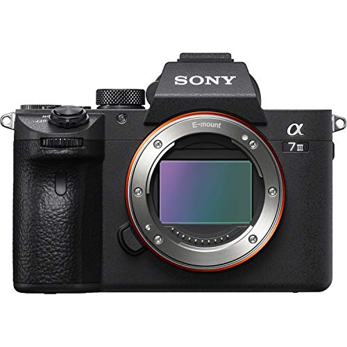 Full-frame Mirrorless Interchangeable-Lens Camera with 28-70mm Lens, Black L77498