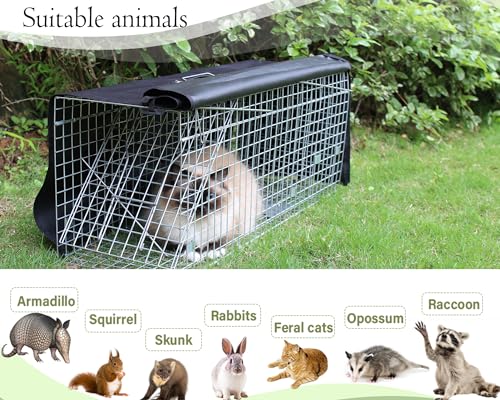 32 Inch Heavy Duty Folding Animal Trap Cage with Cover 2 Packs Q7176