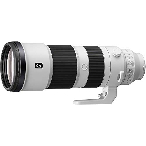 200-600mm F5.6-6.3 Super Telephoto Zoom Lens L4703