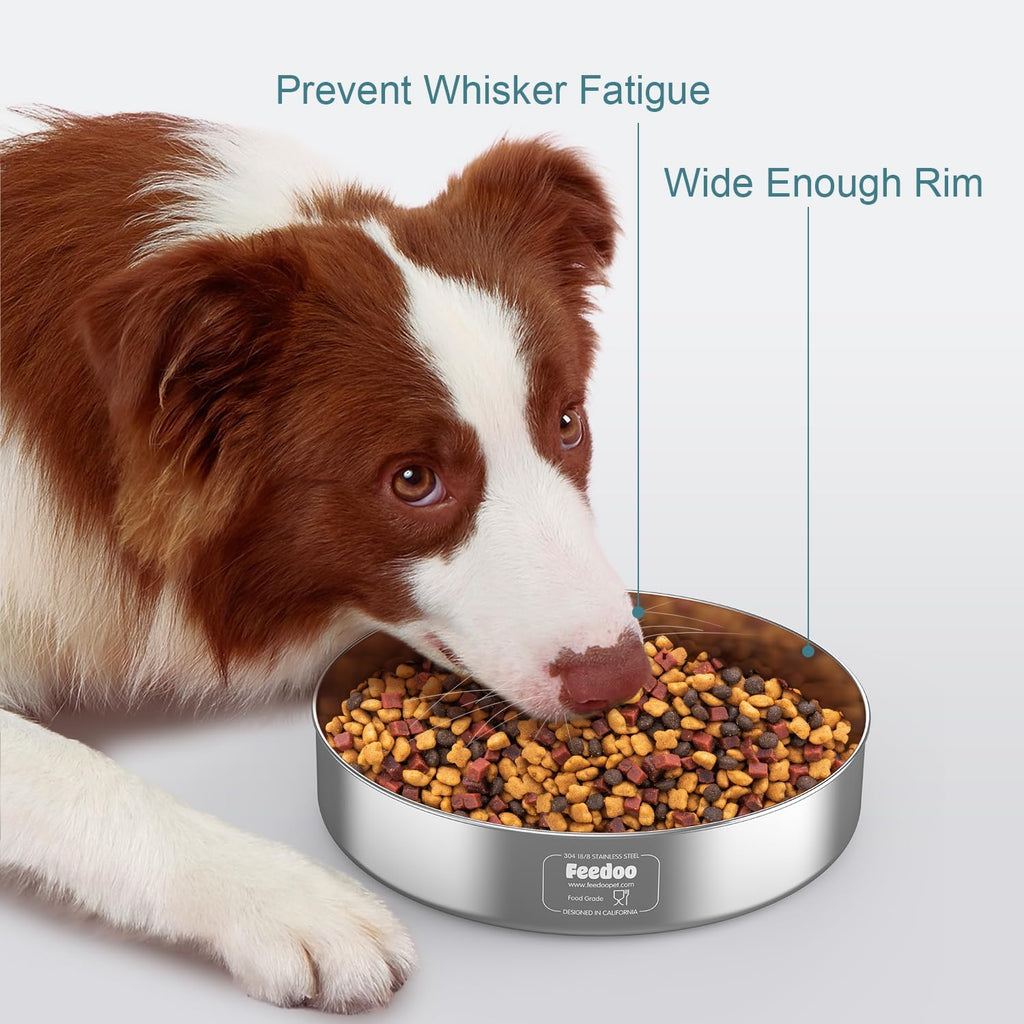 Stainless Steel Dog Bowl with Rubber Base, 42oz G887692