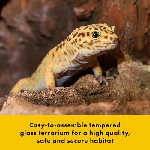 48"x18"x18" Glass Reptile Terrarium R763914