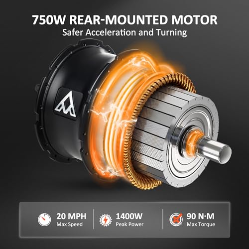 Electric Trike with 750W Rear Motor, 48V 20AH/40AH Dual Battery System, Differential, Parking Brake W37542