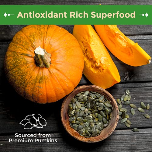 Unsalted Pumpkin Seeds (Pepitas) 1lb bag Y22252