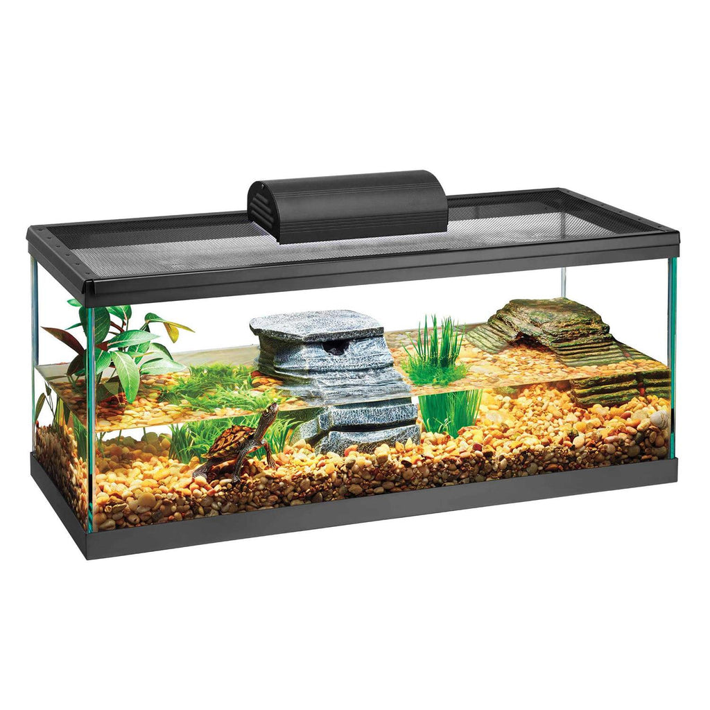 Aquarium Tank L591499