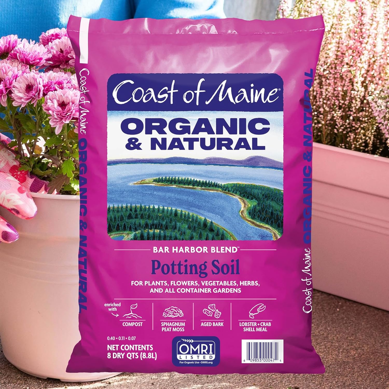 Organic Potting Soil 8qt V981