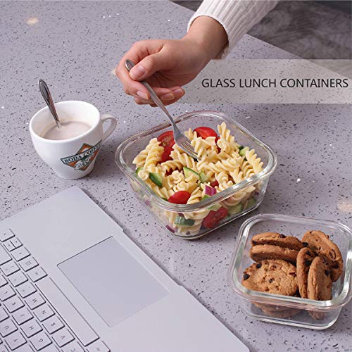 18 Piece BPA Free Glass Food Storage Containers with Lids R896767