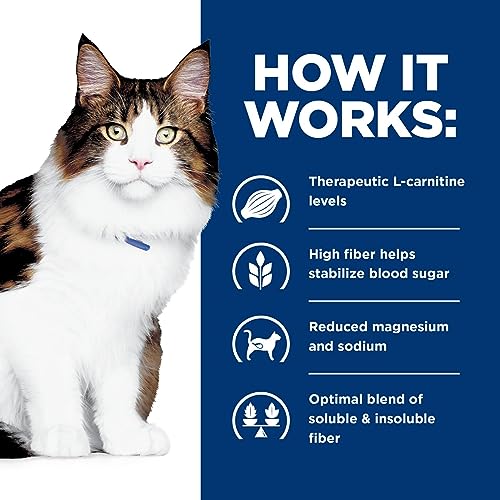 5.5 oz Wet Cat Food, 24-Pack N362006