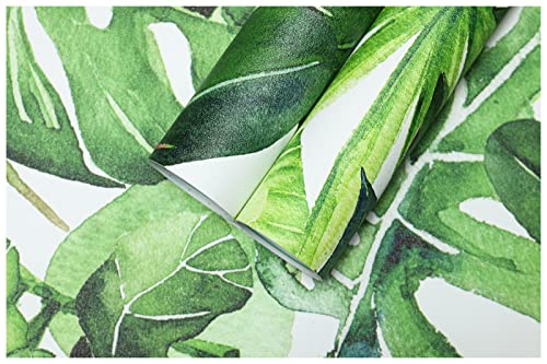 Tropical Peel and Stick Wallpaper Palm Leaves Removable 17.7in x 118in P170