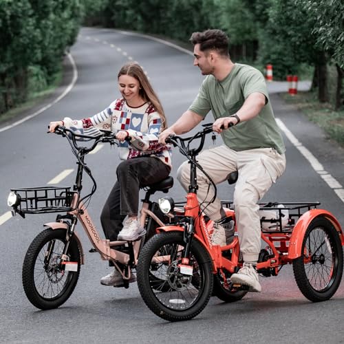 500W Folding Electric Tricycle A117