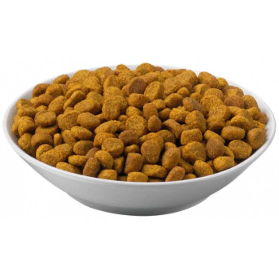 Dry Cat Food R3683