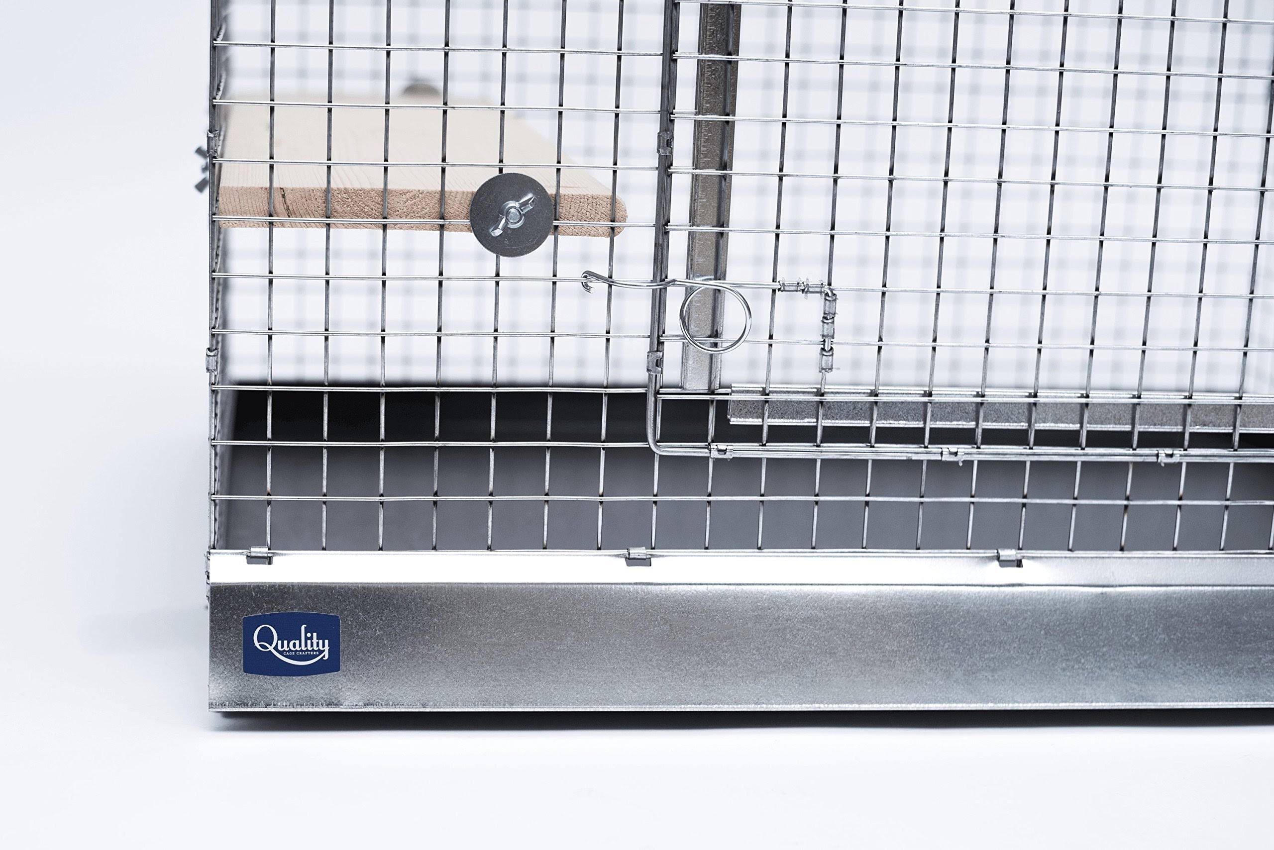 Chinchilla Mansion B89326