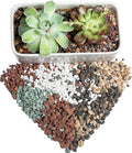 2.2LB Perlite Pumice Lava Rocks Potting Mix X148